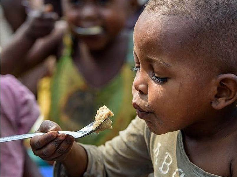 Food Security Program