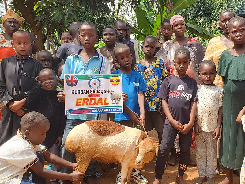 Qurbani: Sharing Blessings, Strengthening Communities